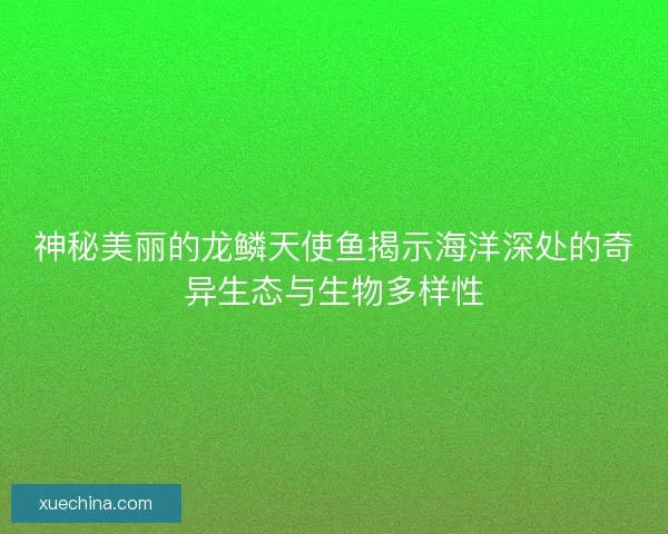 神秘美丽的龙鳞天使鱼揭示海洋深处的奇异生态与生物多样性