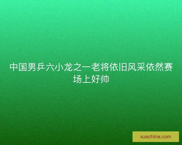 中国男乒六小龙之一老将依旧风采依然赛场上好帅