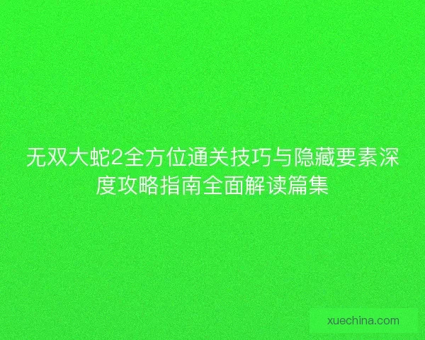 无双大蛇2全方位通关技巧与隐藏要素深度攻略指南全面解读篇集 无双大蛇2全方位通关技巧与隐藏要素深度攻略指南全面解读篇集