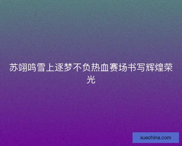 苏翊鸣雪上逐梦不负热血赛场书写辉煌荣光